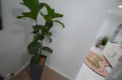 Девка вырезала дырку в лосинах на нужном месте и позвала тренера